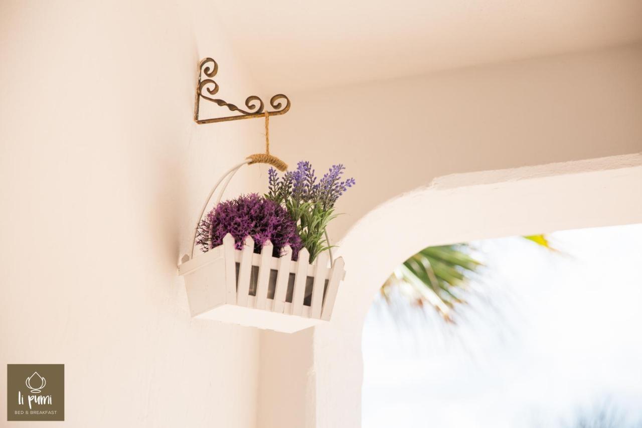 Bed and Breakfast Li Pumi Alliste Exterior foto